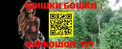 СК Камышлов