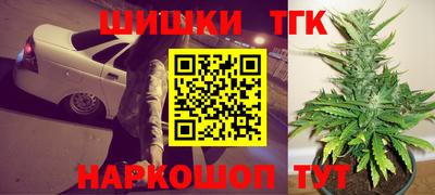 СК Камышлов