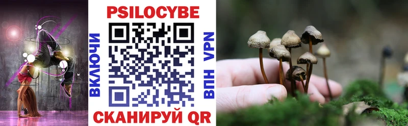 kraken ссылки  Новоалександровск  Галлюциногенные грибы Cubensis 