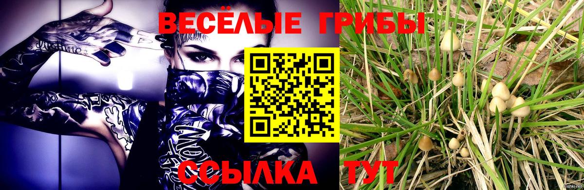 Галлюциногенные грибы мухоморы  даркнет сайт  Новоалександровск 