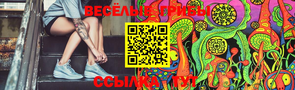 Псилоцибиновые грибы Psilocybe  магазин  наркотиков  Псилоцибиновые грибы Psilocybe  Новоалександровск 