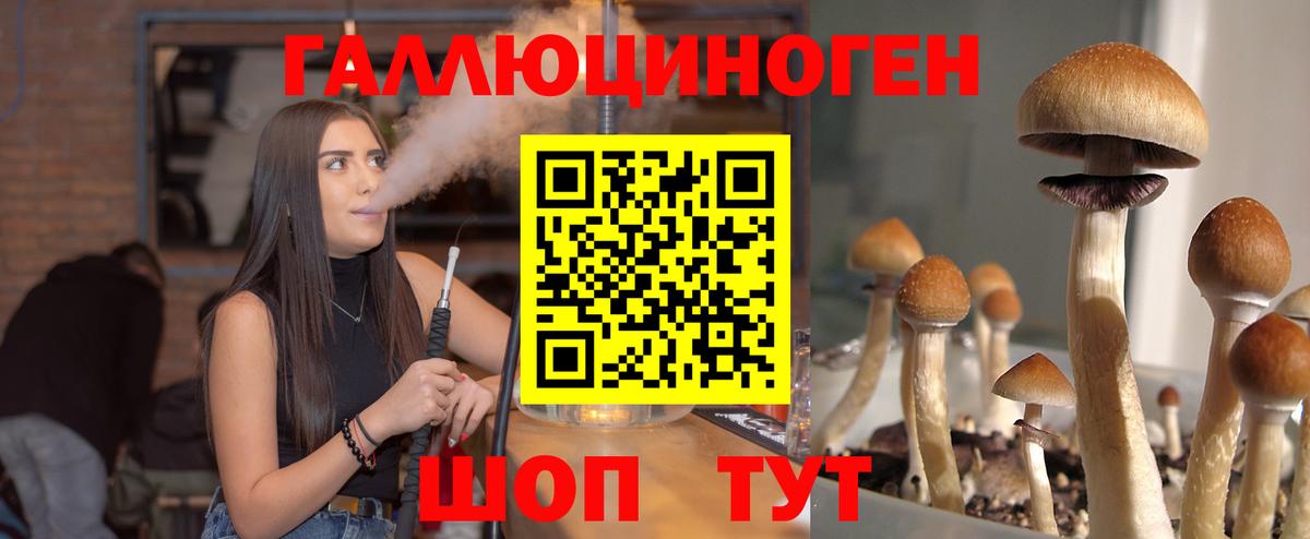 Новоалександровск  Галлюциногенные грибы ЛСД  Вход с VPN 