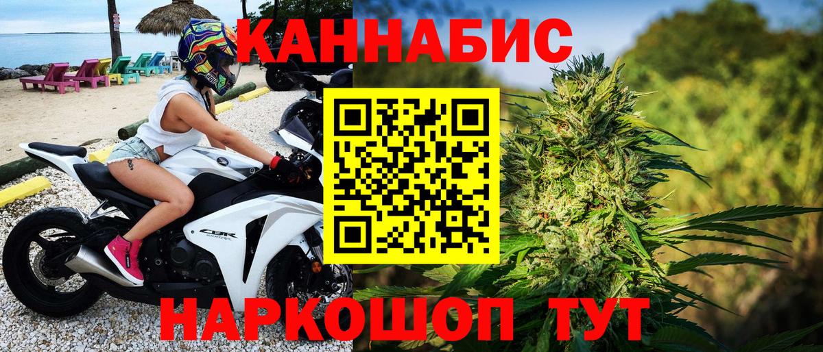 Канабис конопля Новоалександровск